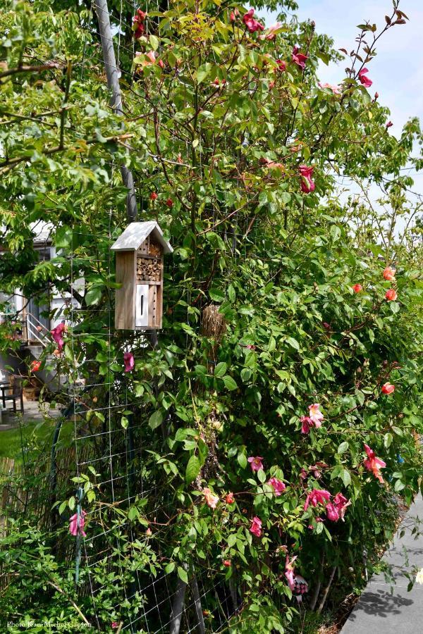 Braine-lʼAlleud Les Glycines Mauves B&B 외부 사진